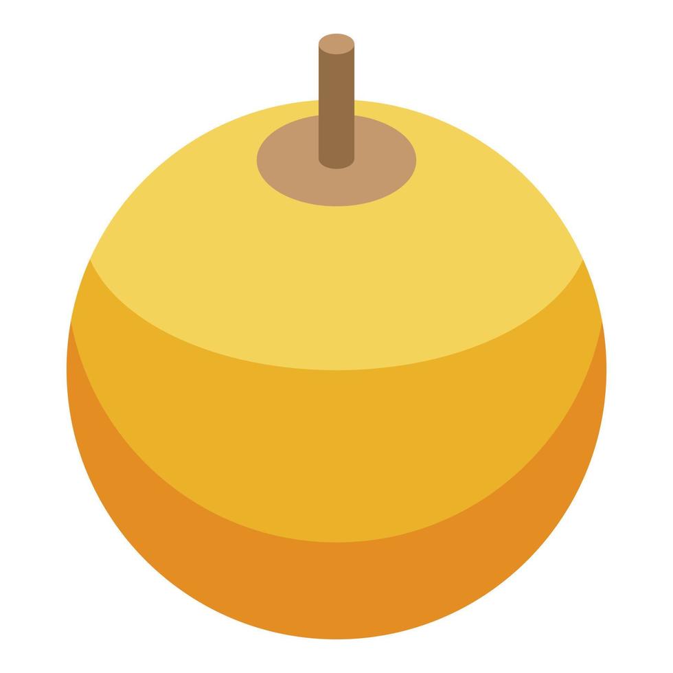 Physalis berry icon, isometric style vector