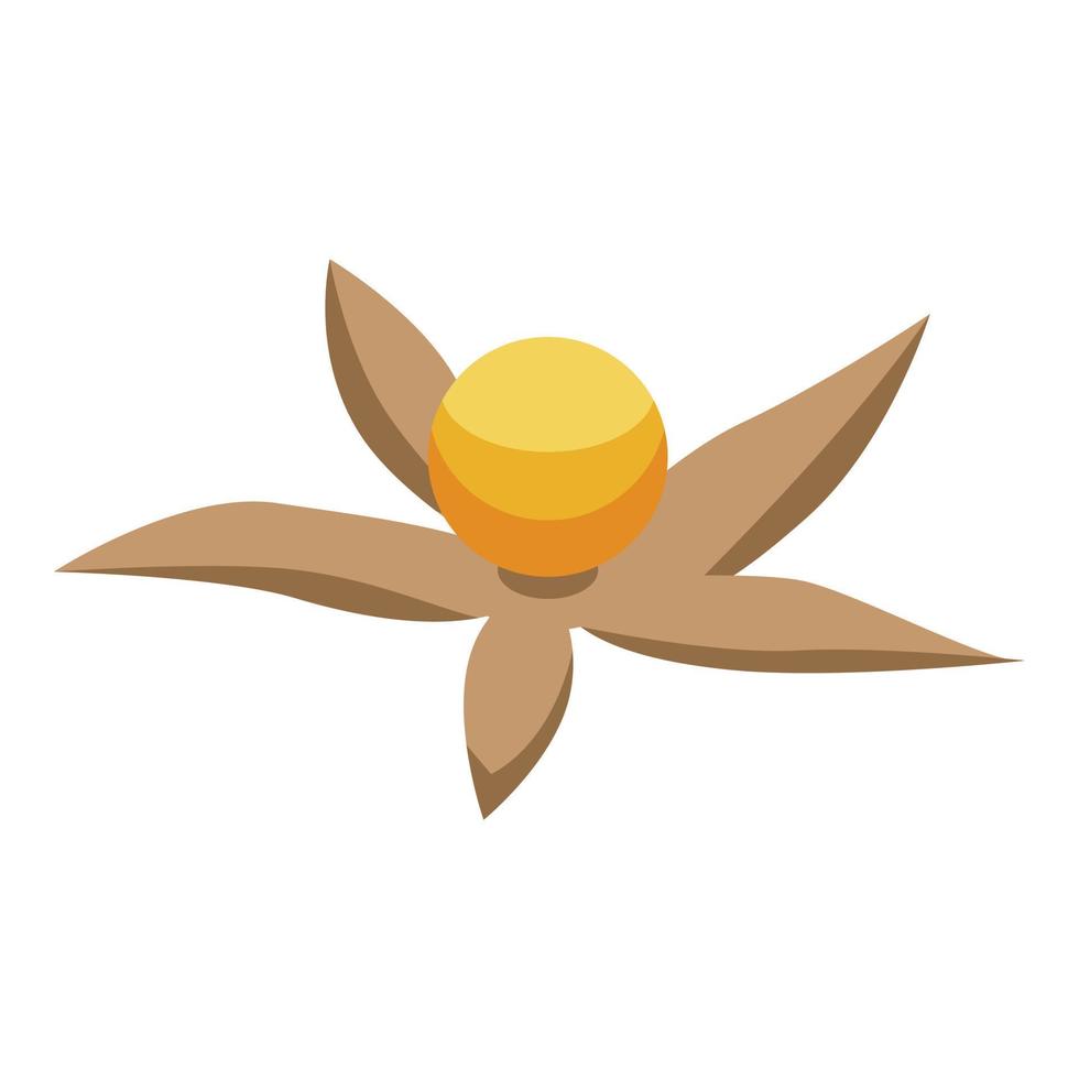 Physalis seed icon, isometric style vector