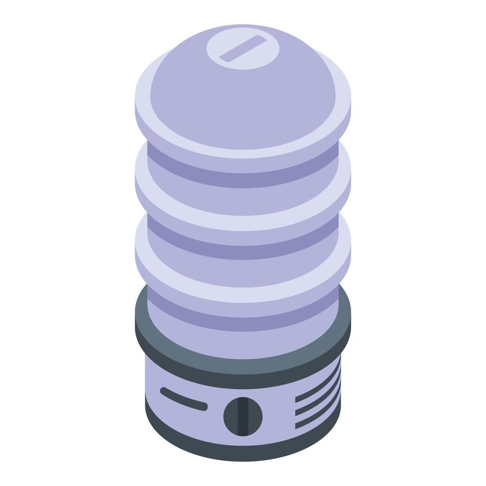 Professional steamer icon, isometric style vector