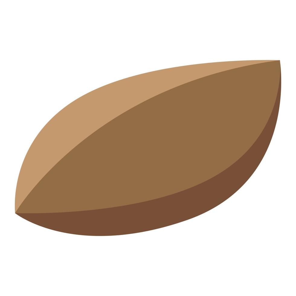Persimmon seed icon, isometric style vector