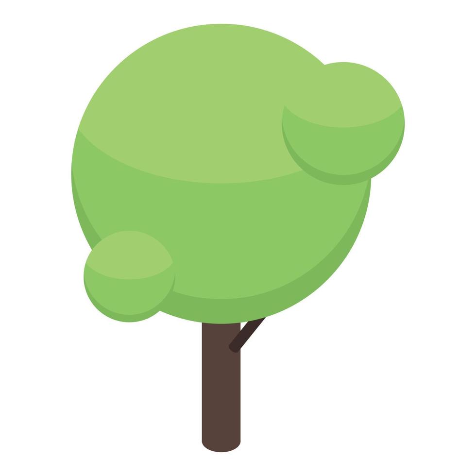 Park tree icon, isometric style vector