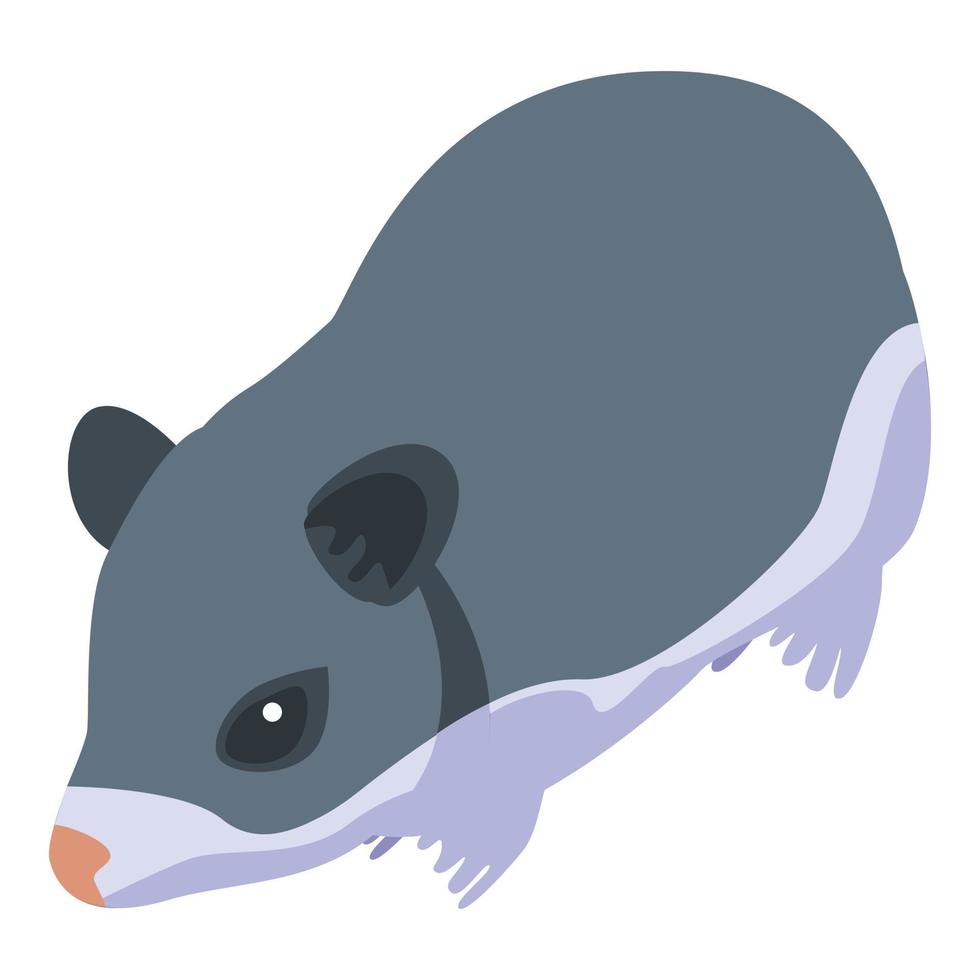 Animal hamster icon, isometric style vector