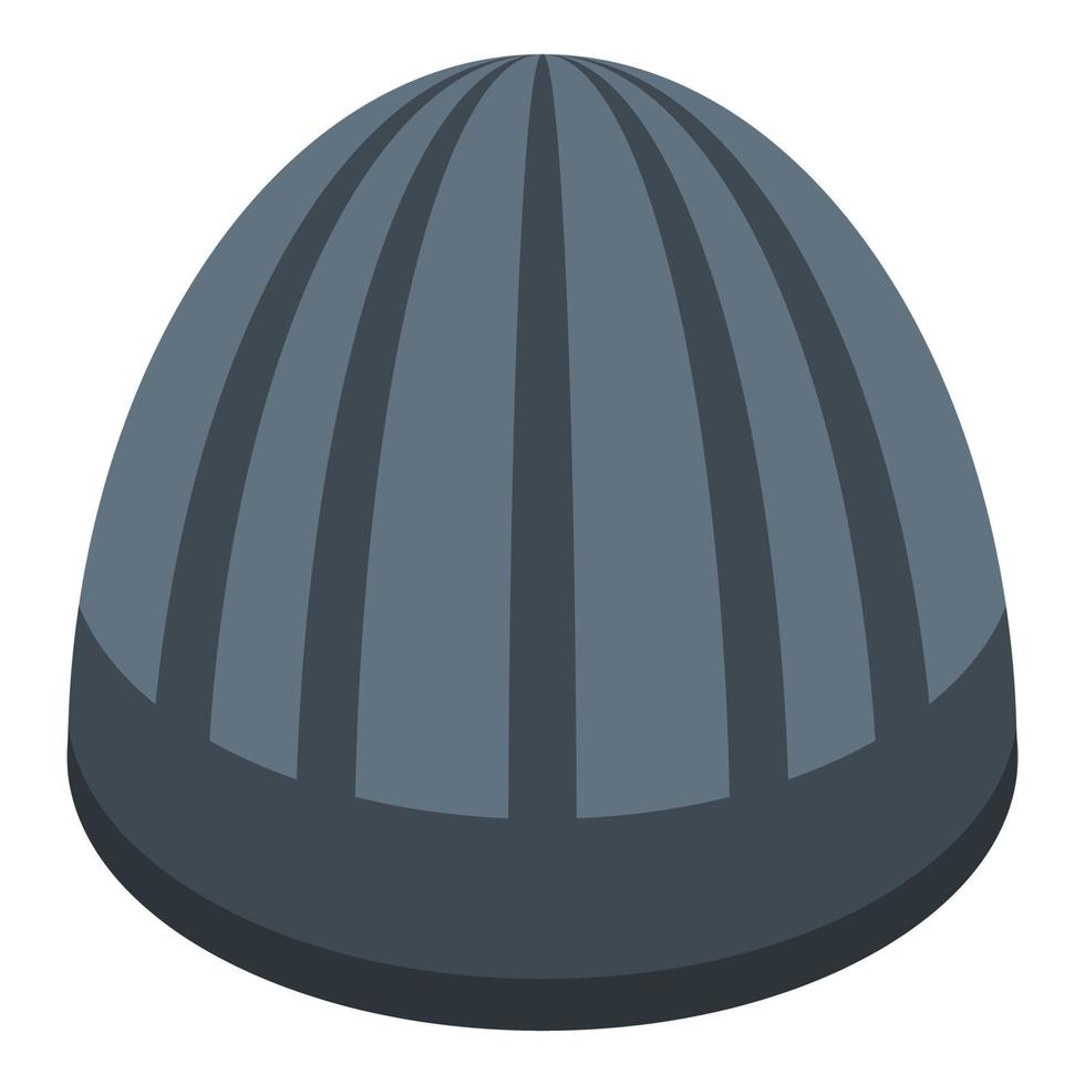 Boy winter beanie icon, isometric style vector