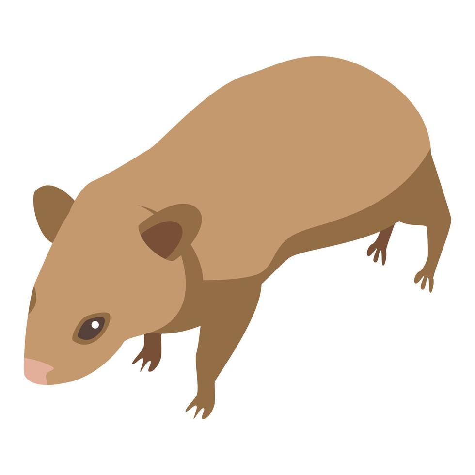 Little mice icon, isometric style vector