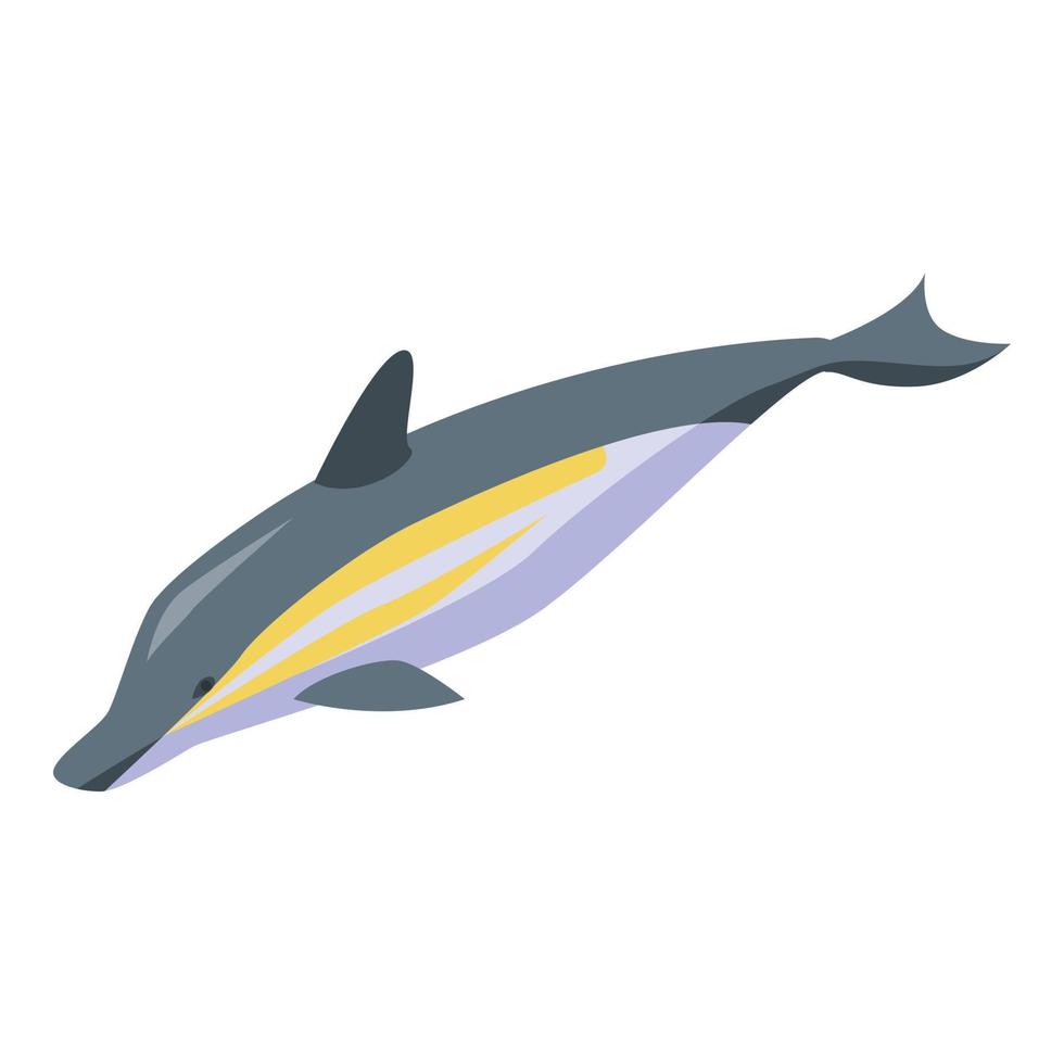 Wild dolphin icon, isometric style vector