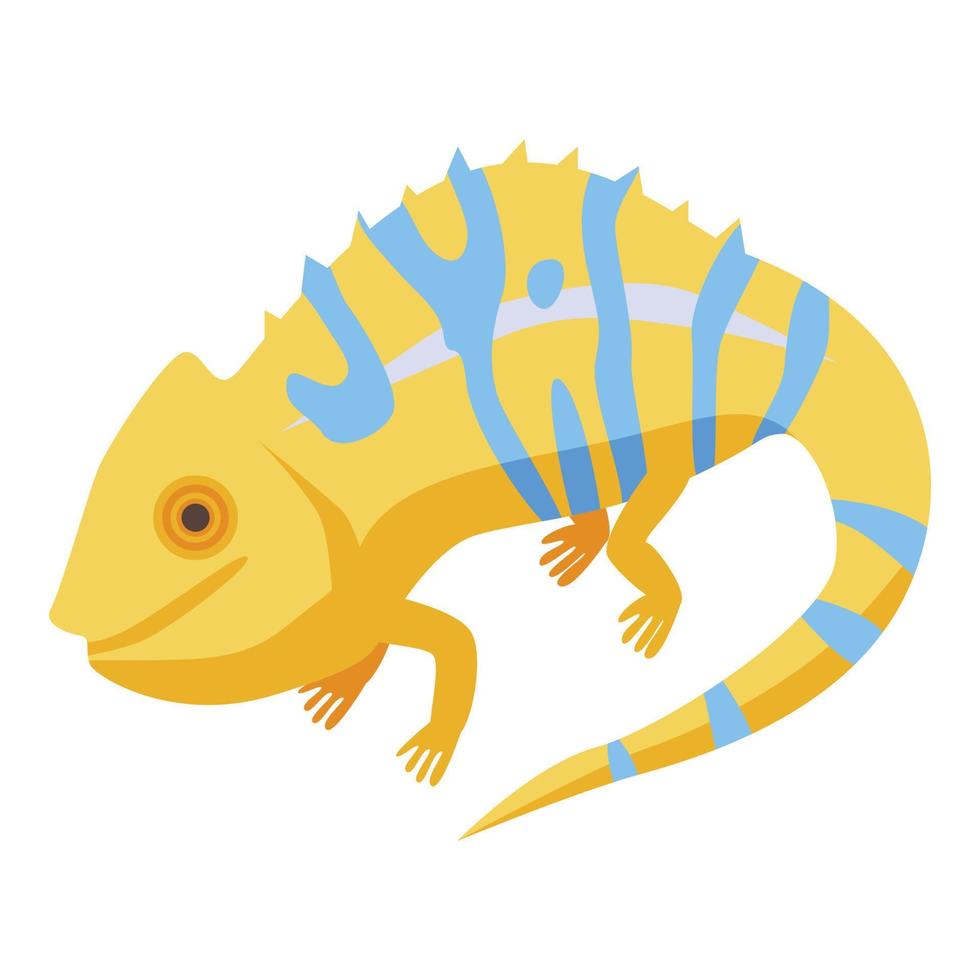 Yellow blue chameleon icon, isometric style vector