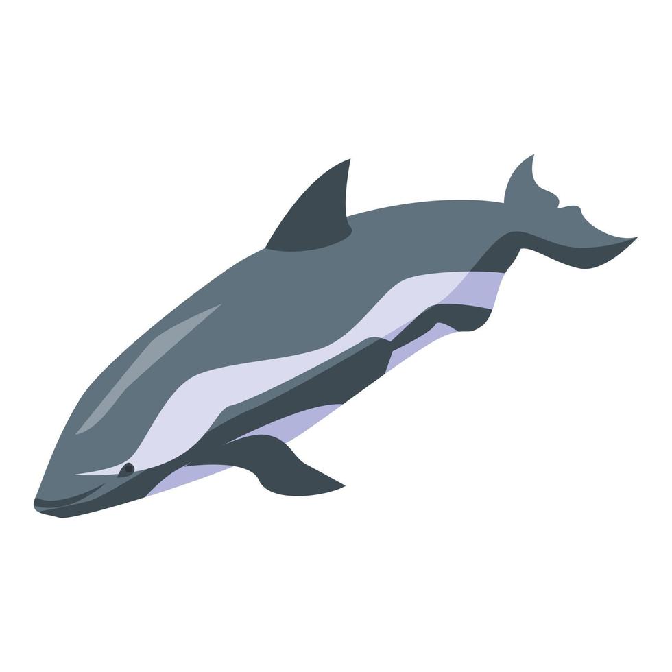 Water dolphin icon, isometric style vector