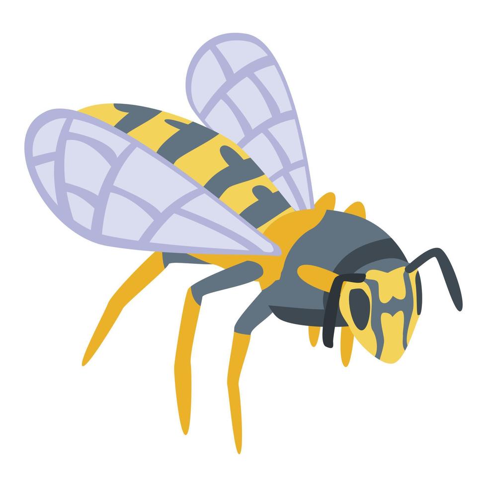 Wild wasp icon, isometric style vector