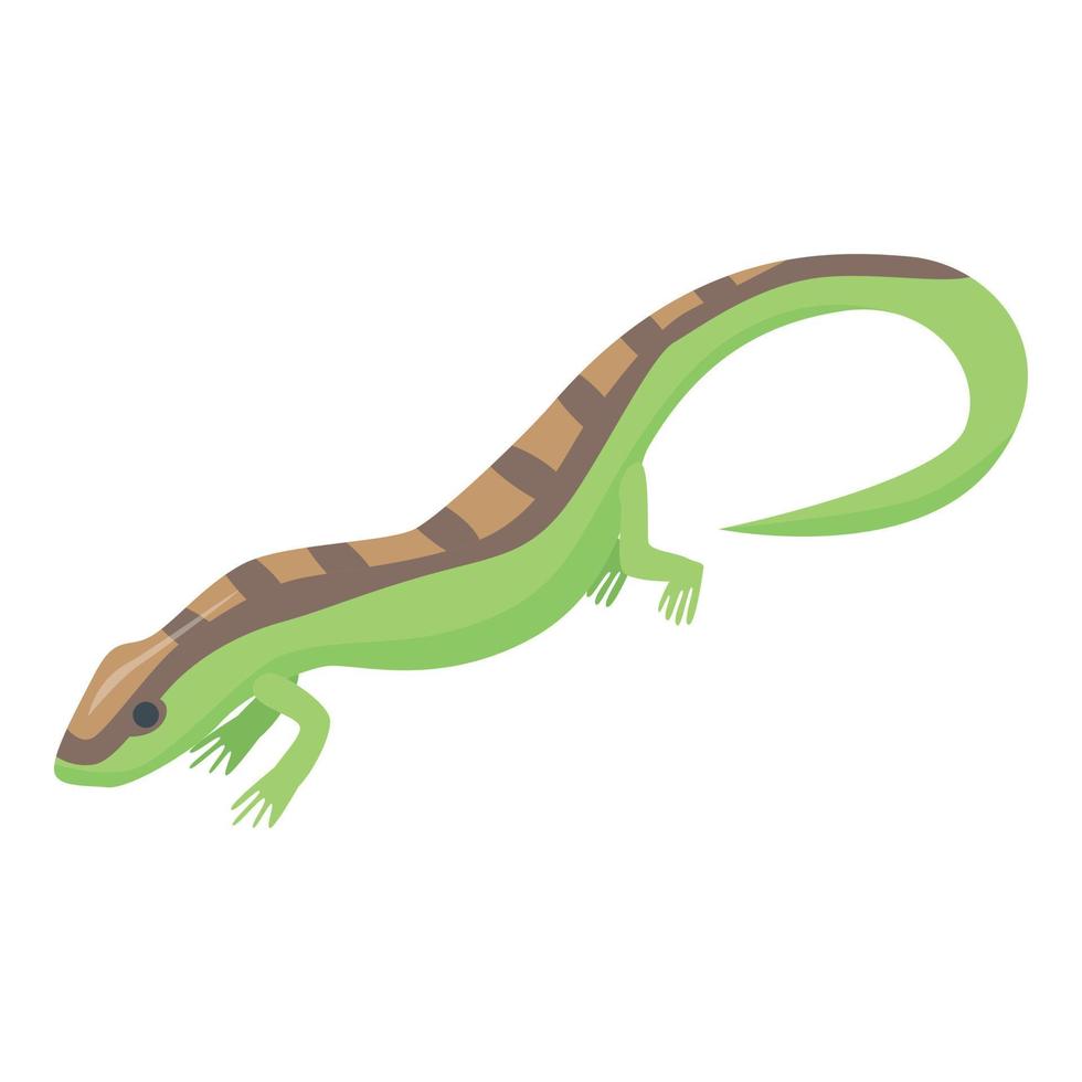 Salamander icon, isometric style vector