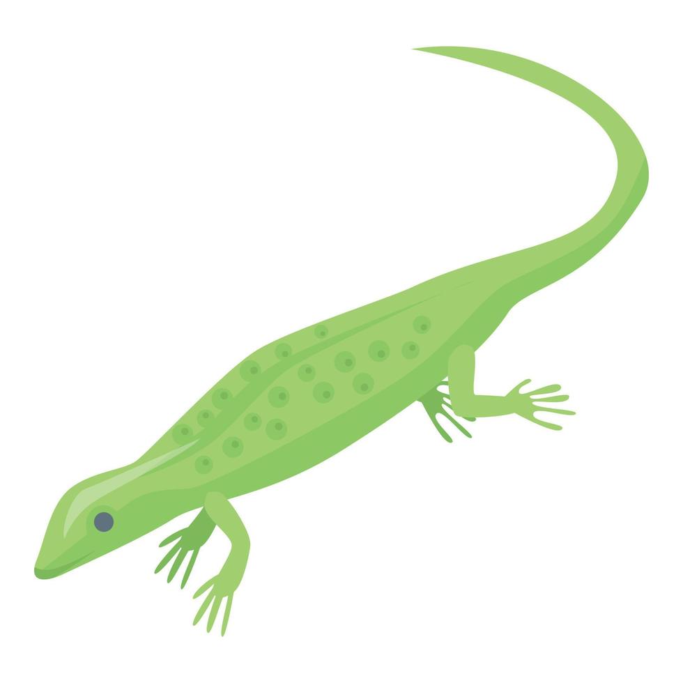 Magic green lizard icon, isometric style vector