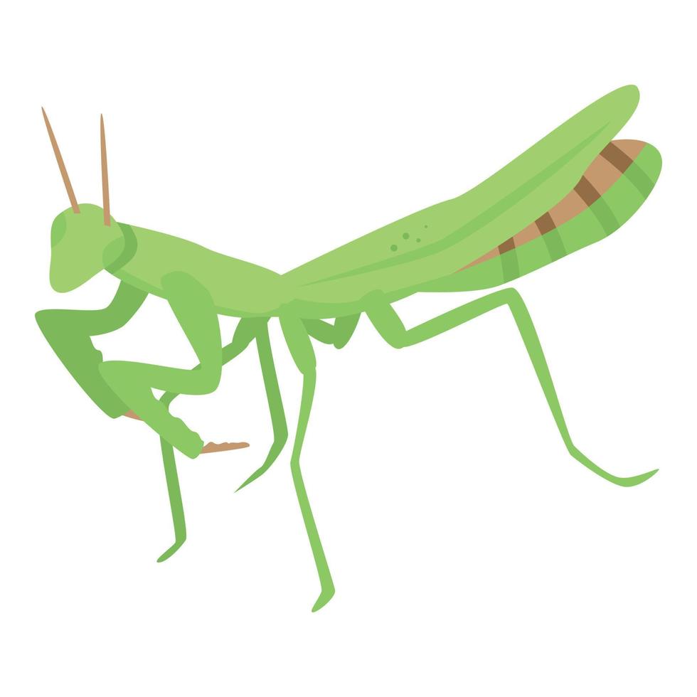 icono de mantis verde, estilo isométrico vector