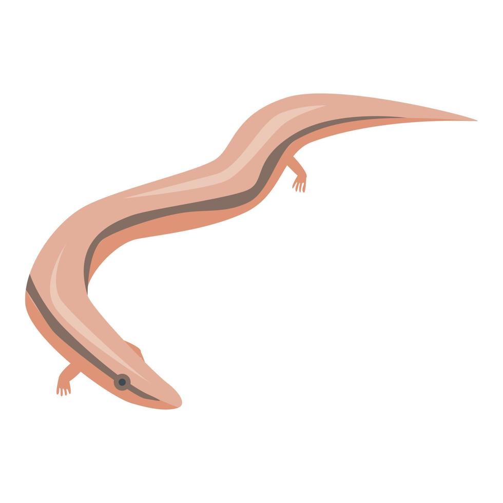 Snake long lizard icon, isometric style vector