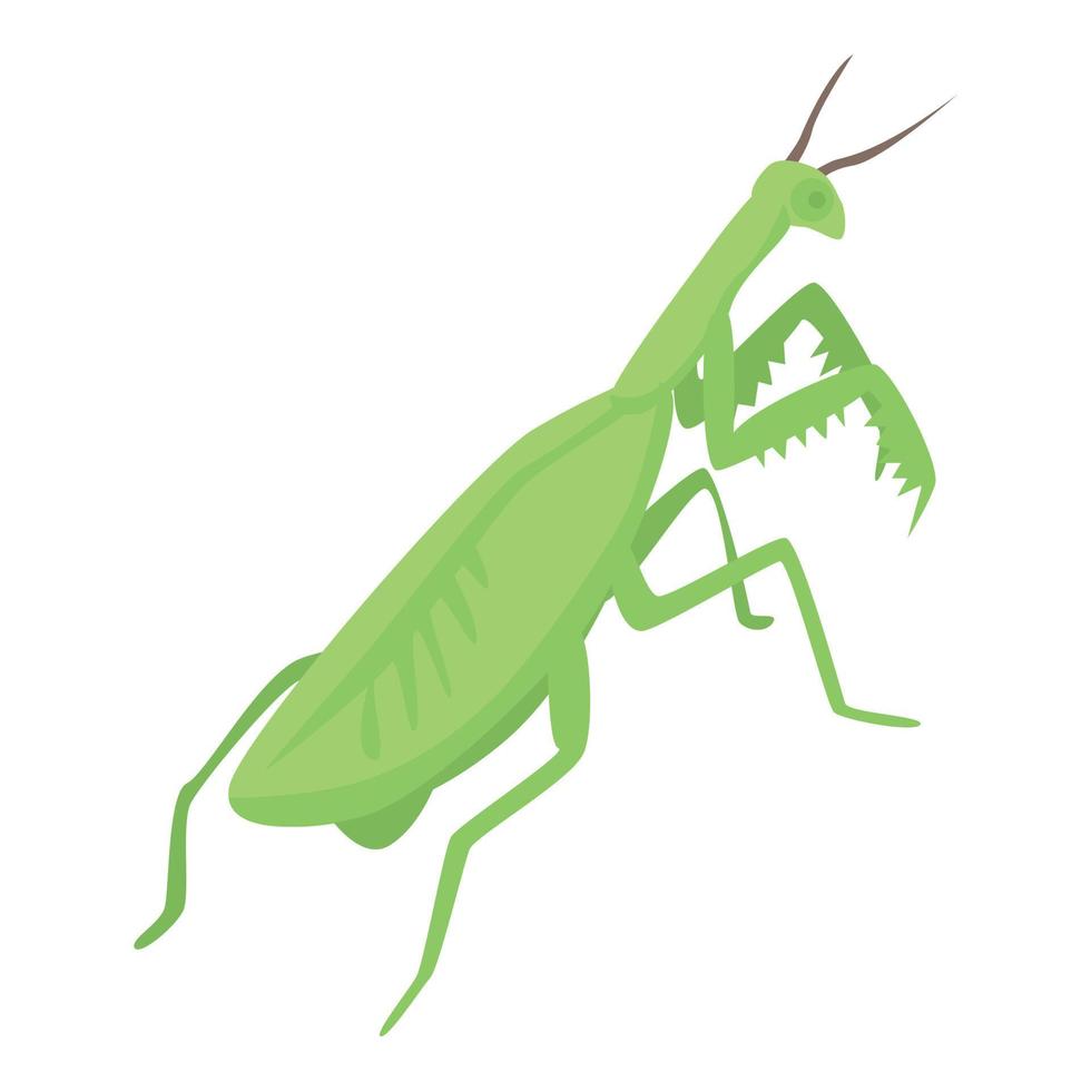 icono de mantis femenina, estilo isométrico vector
