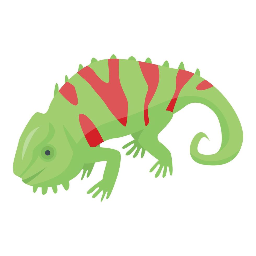 icono de camaleón verde rojo, estilo isométrico vector