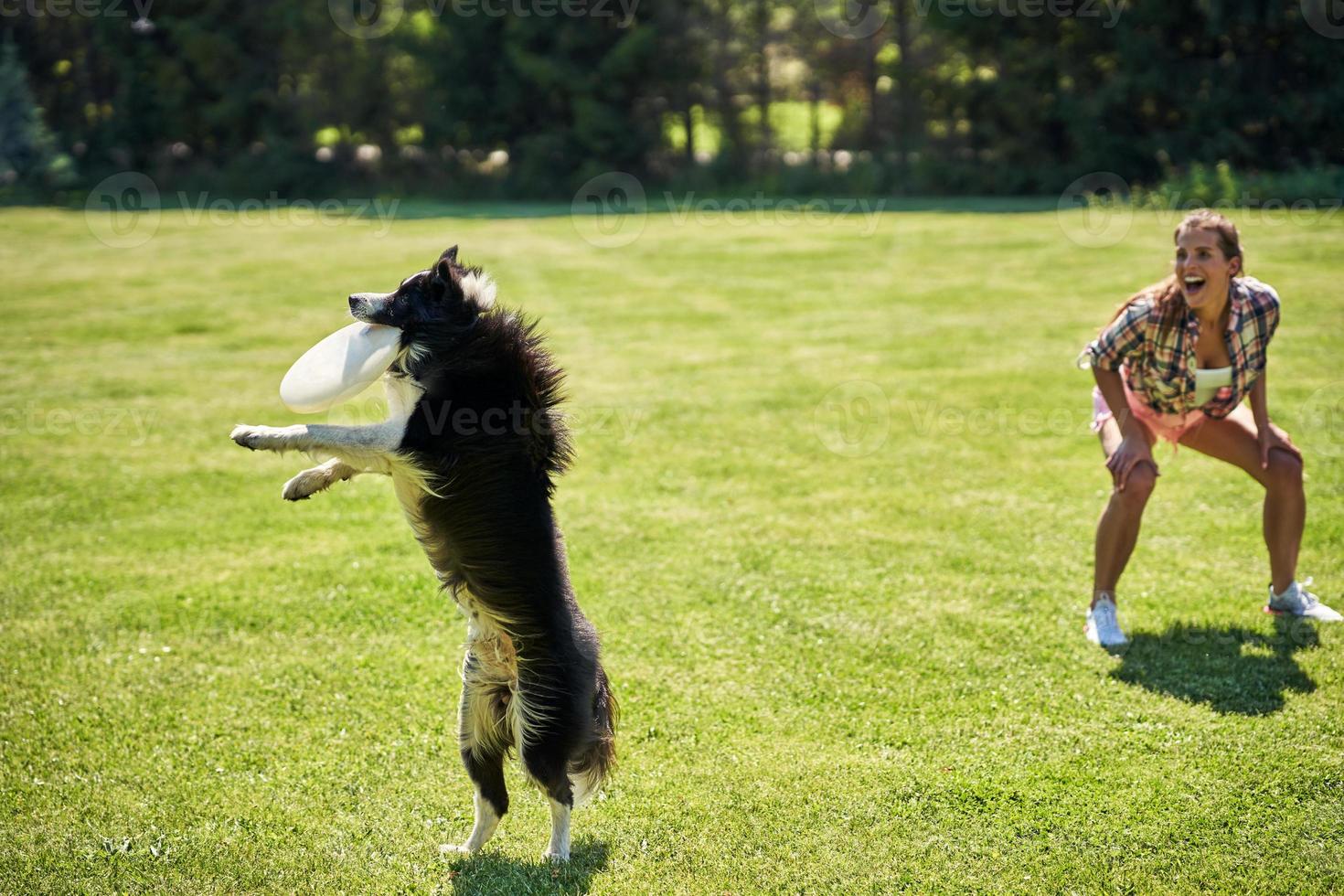 Border collie dog and a woman on an agility field photo