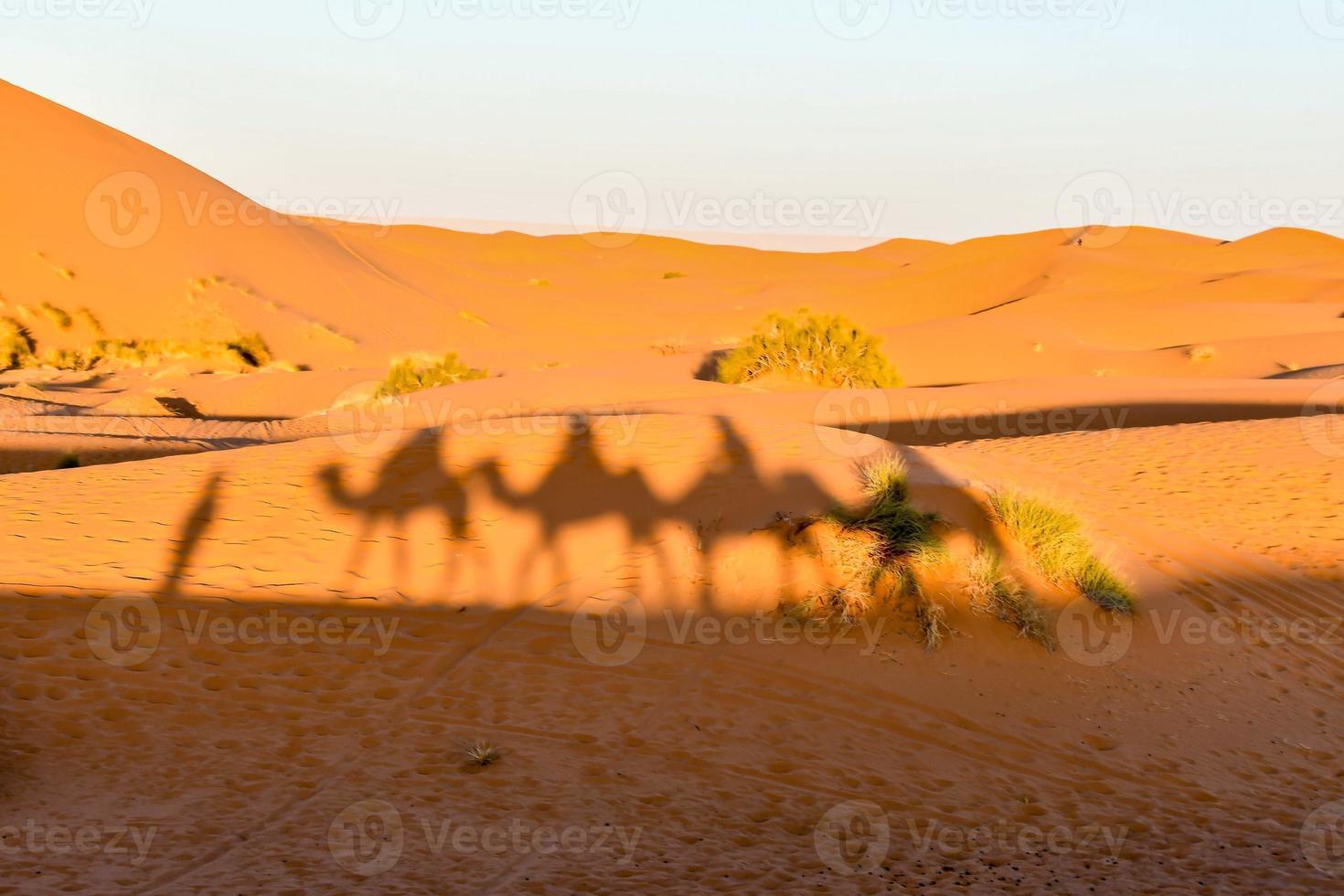 Desert landscape in Morocco photo