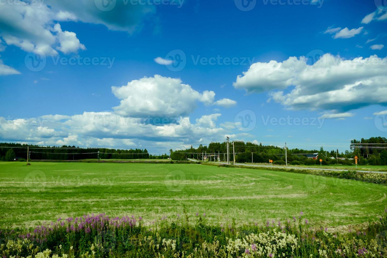 Landscape in Sweden, Europe photo
