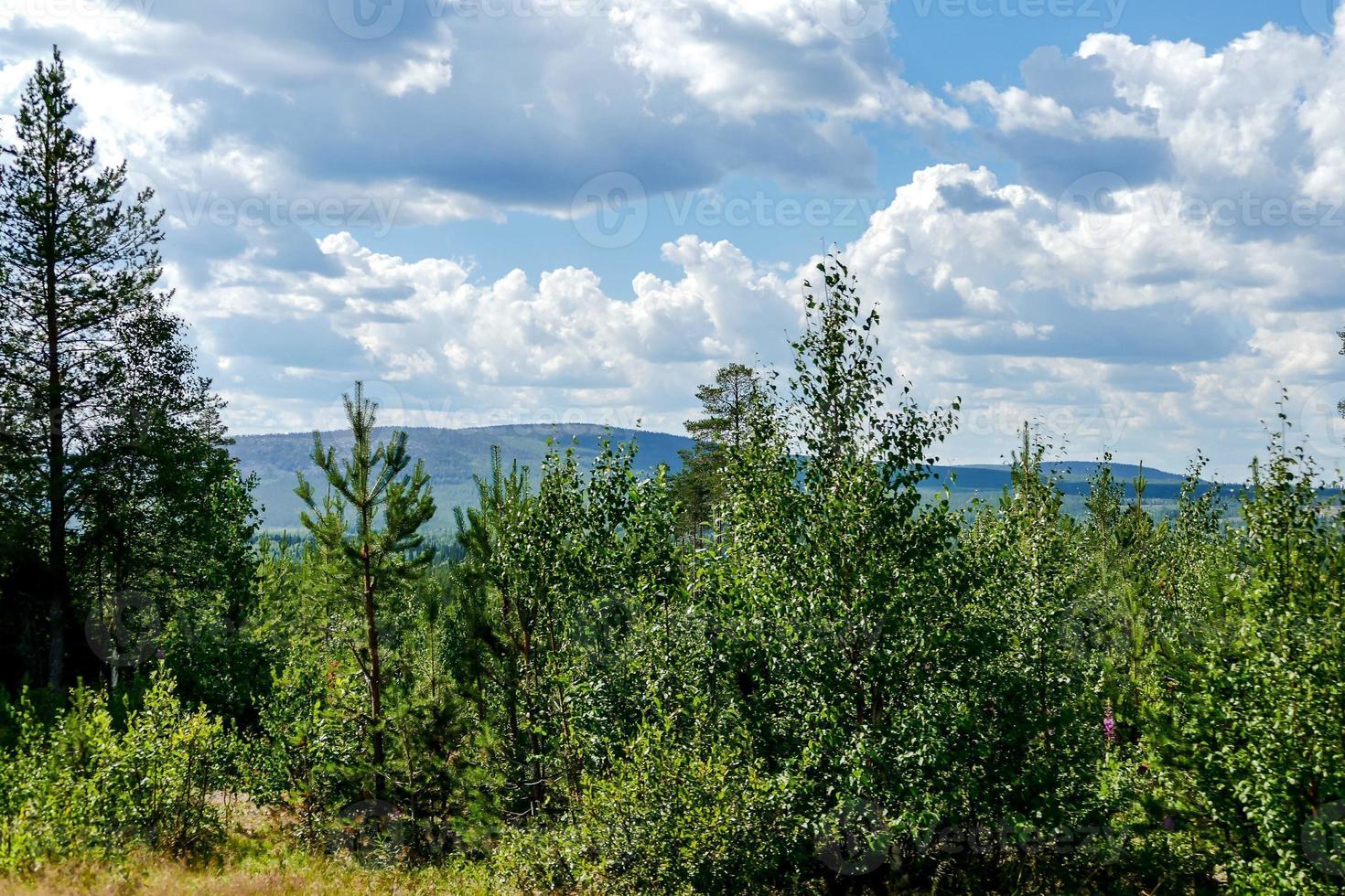 Landscape in Sweden, Europe photo