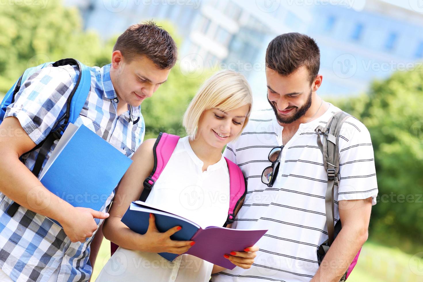 Group of students learning in the park photo