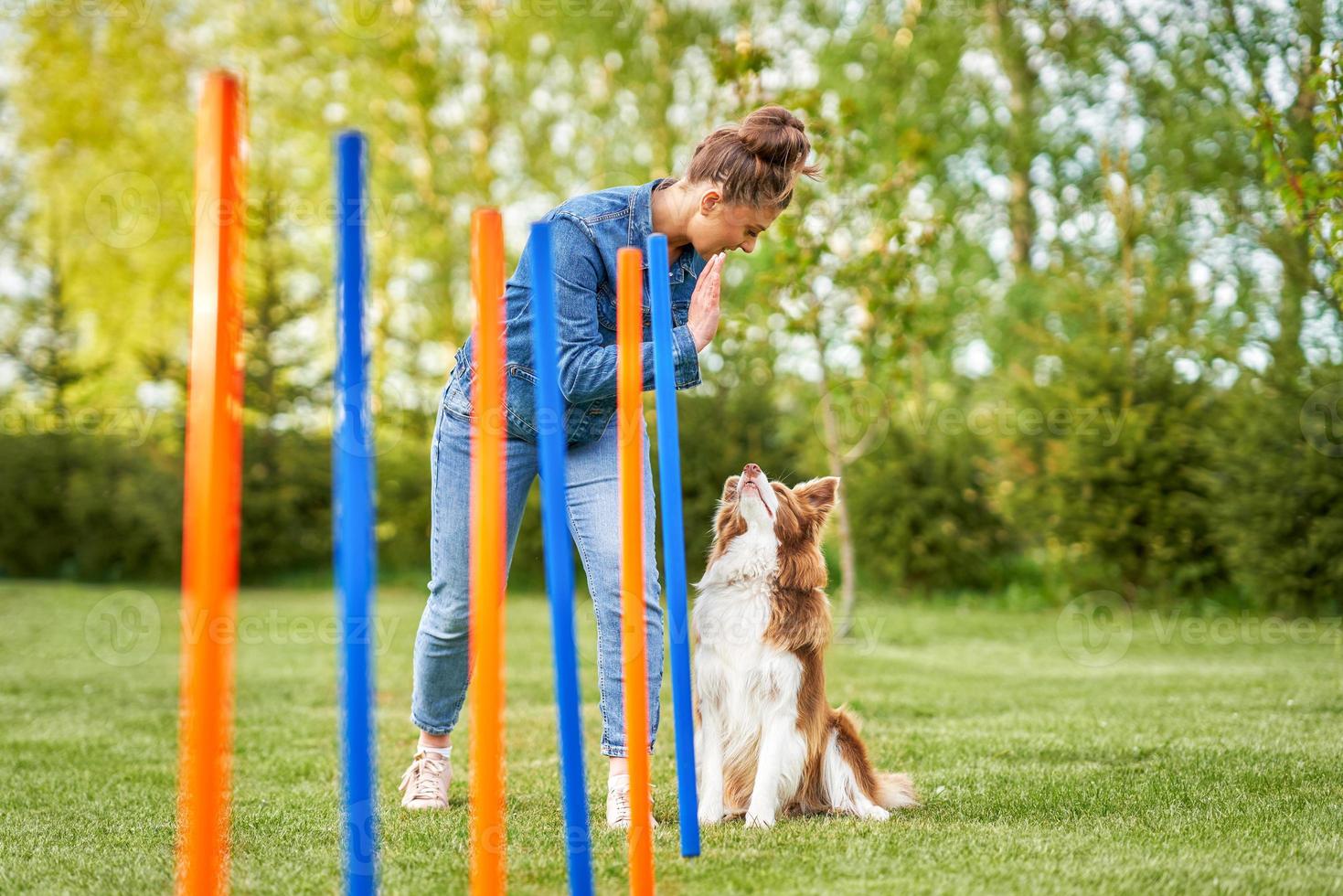 Chocolate White Border Collie with woman owner photo