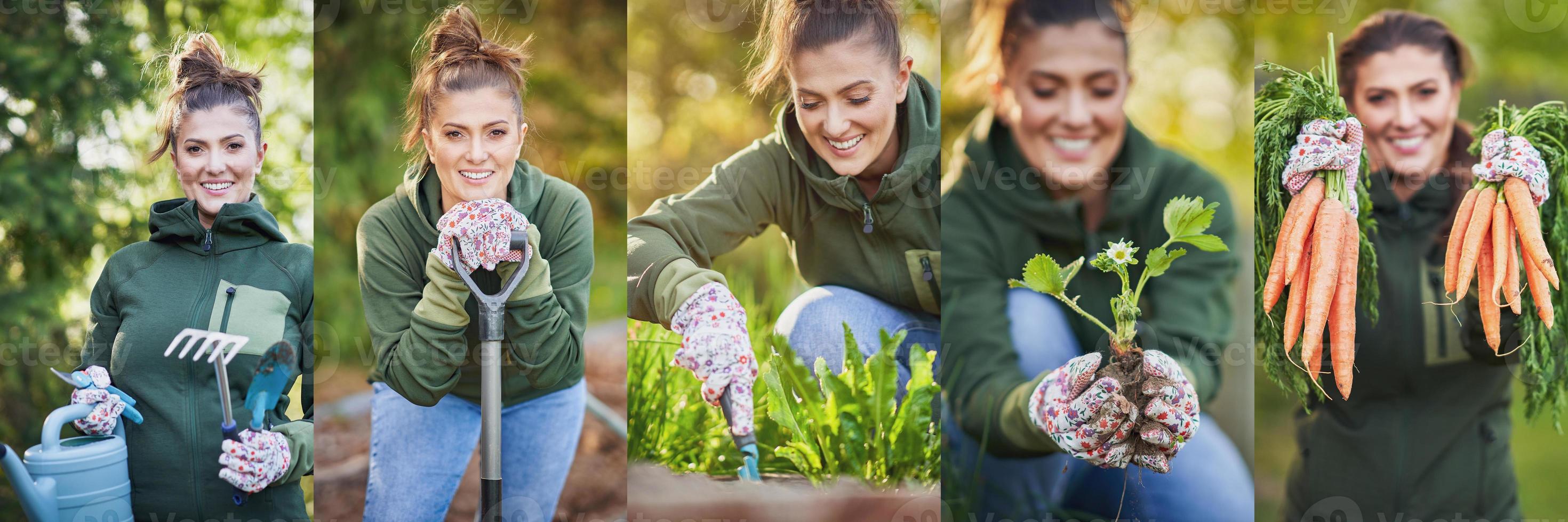 Beautiful image collage of young woman gardener photo