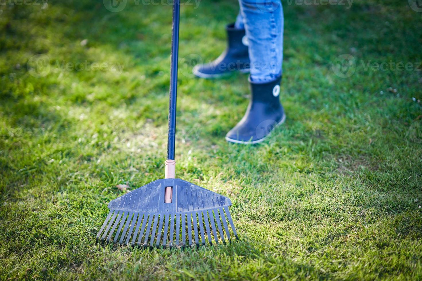 Picture of grass rake in the garden photo