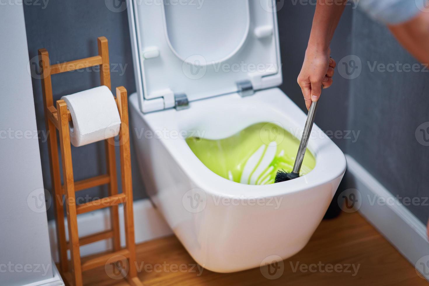 Picture of cleaning toilet seat with chemicals photo