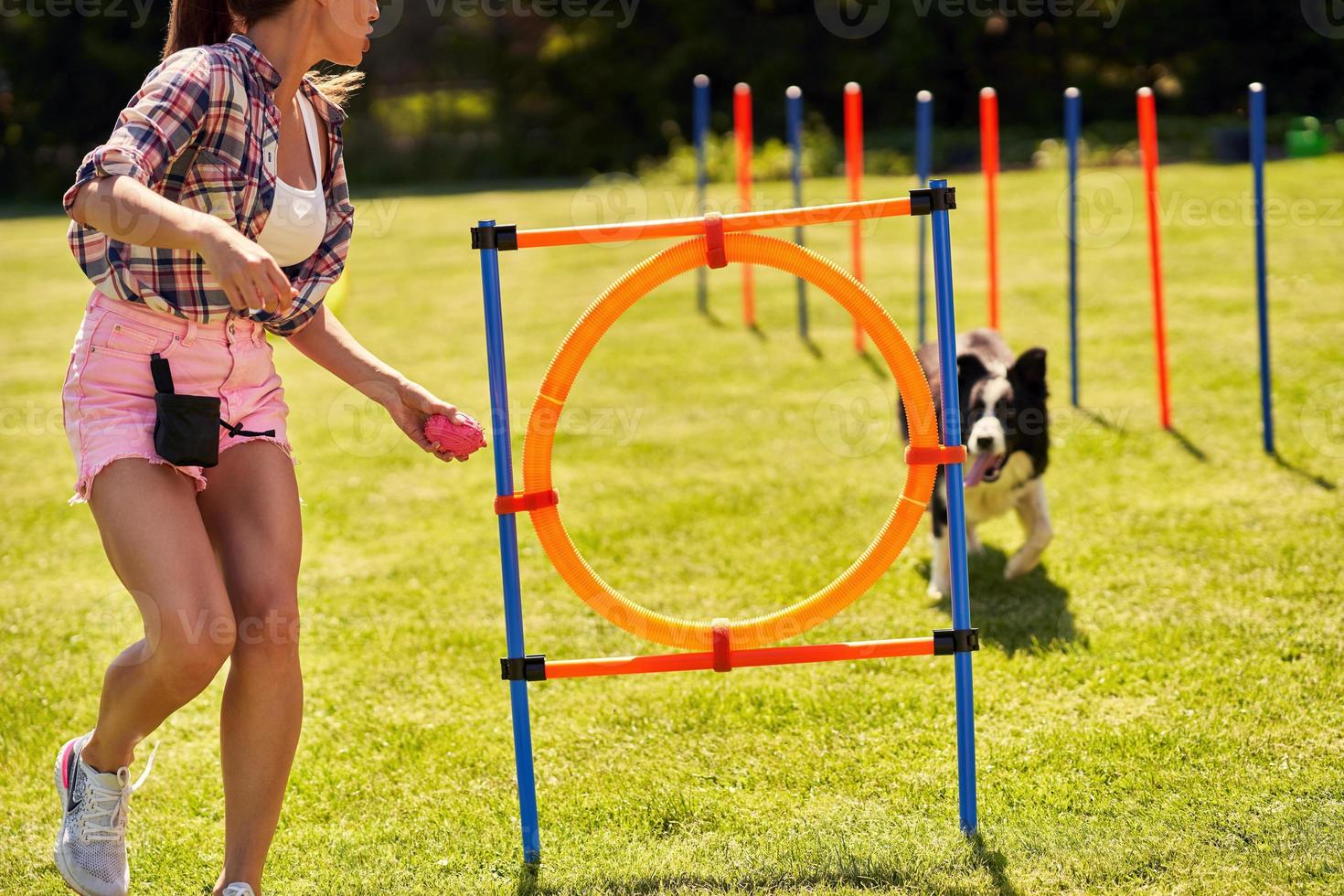 Border collie dog and a woman on an agility field photo