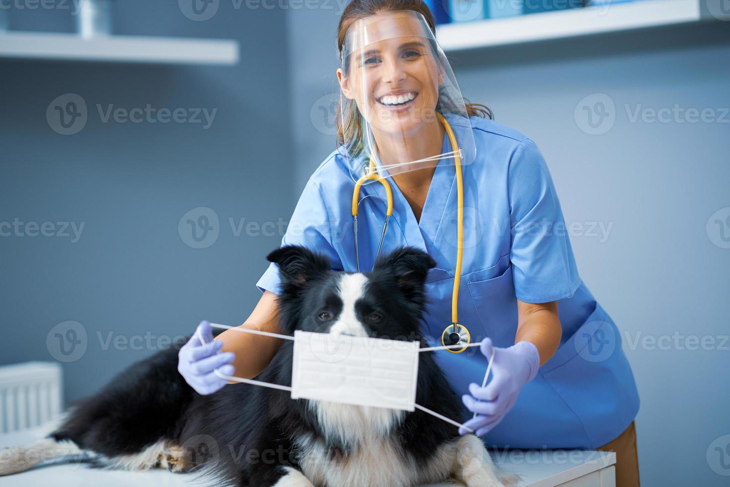 Veterinaria examinando a un perro en la clínica foto