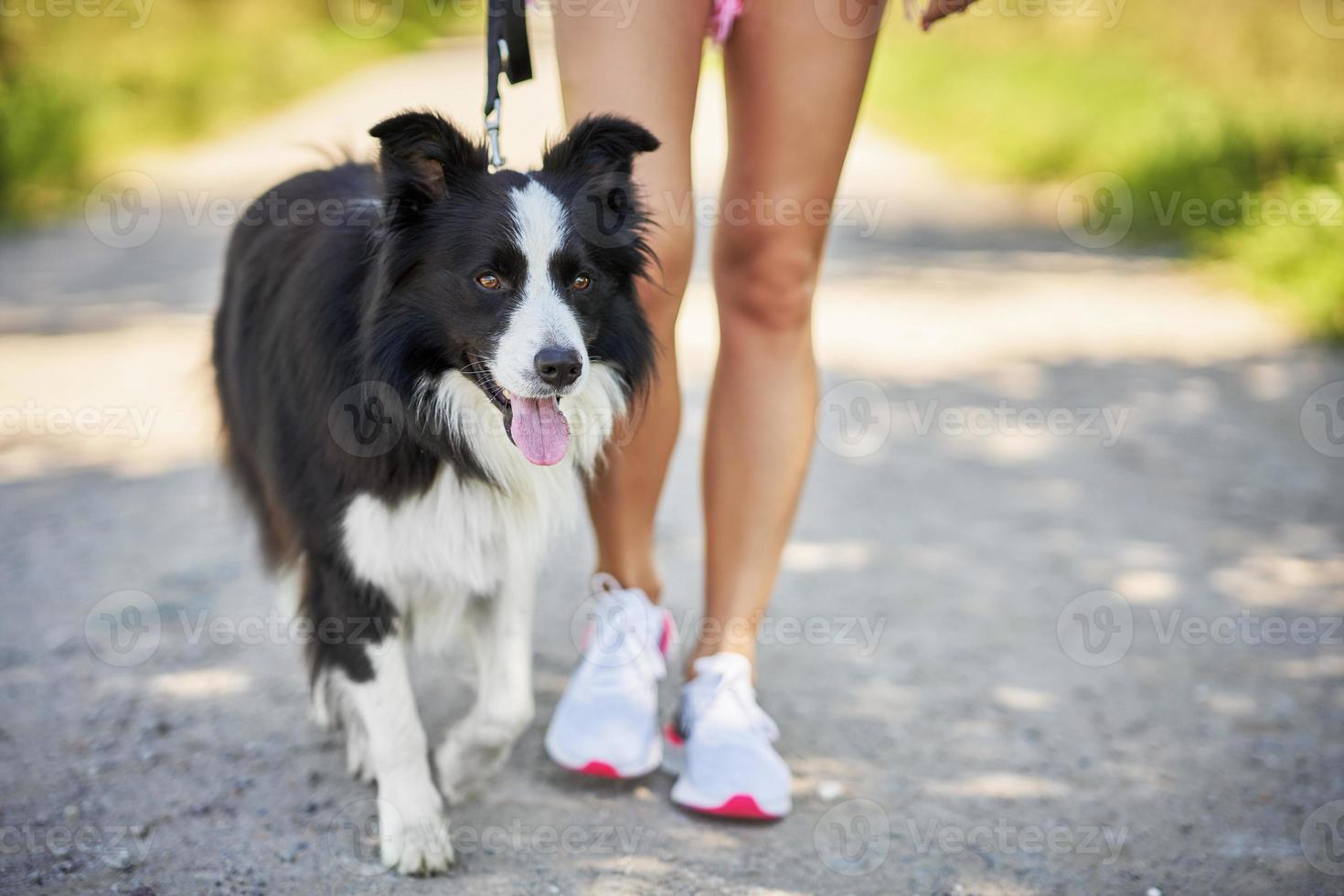 sección media de la mujer paseando con su mascota en el ocio foto