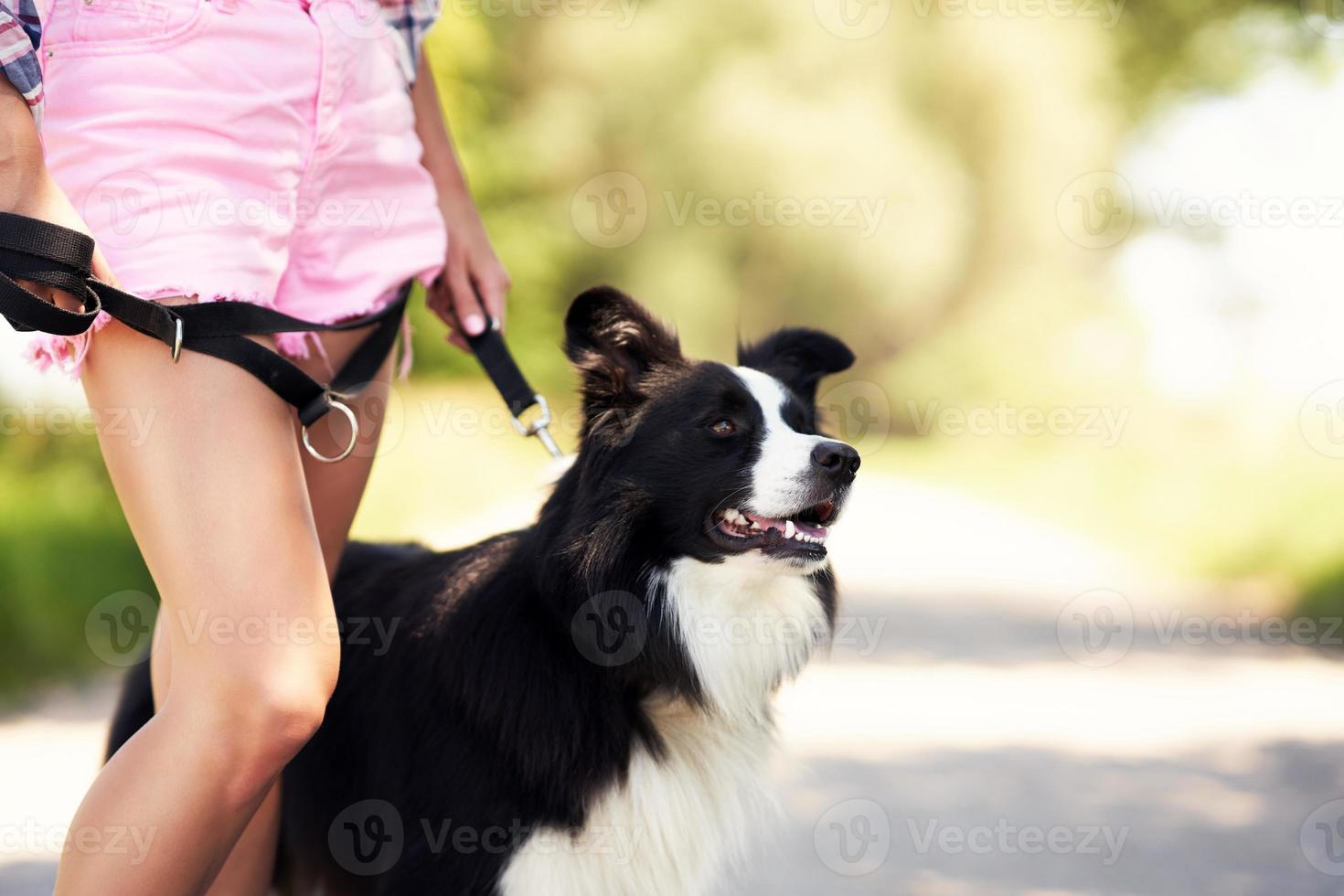 Midsection of woman strolling with her pet at leisure photo