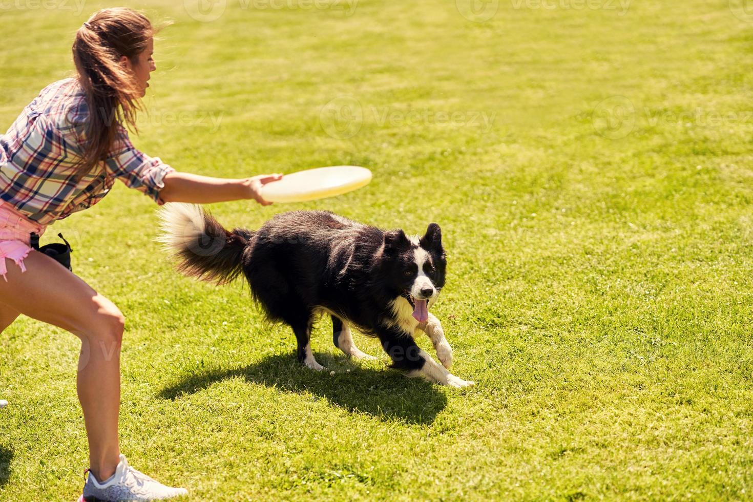 perro border collie y una mujer en un campo de agilidad foto