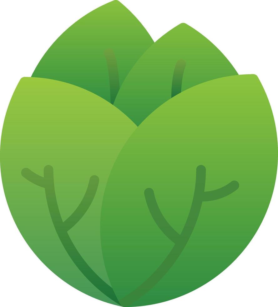 Cabbage Vector Icon Design