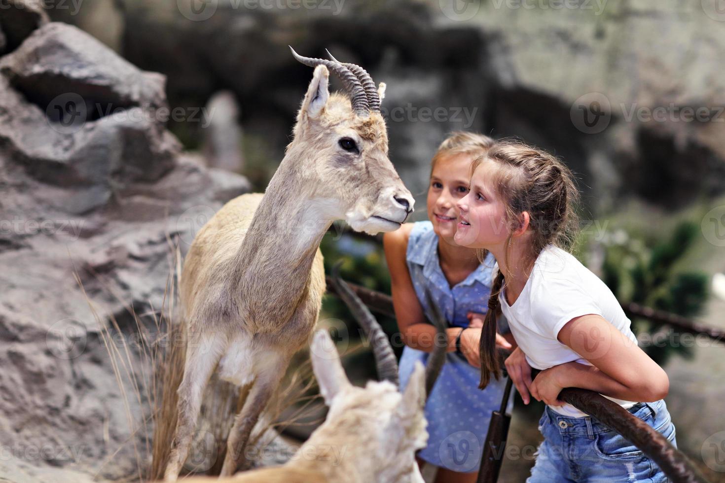 Joyful family in nature museum photo