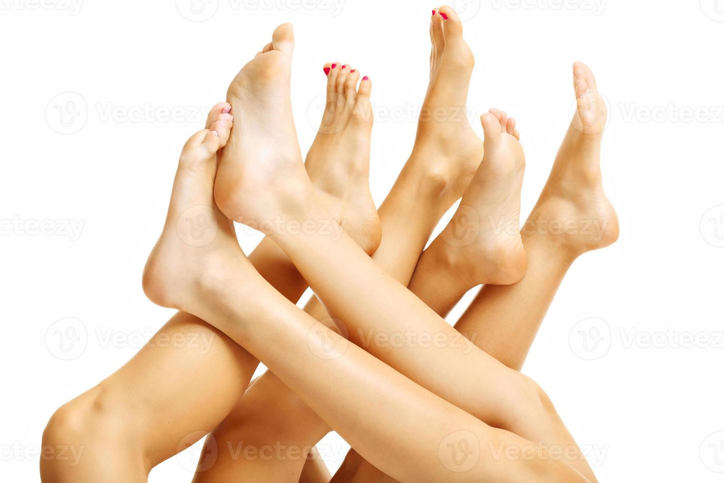 Female legs on white background photo