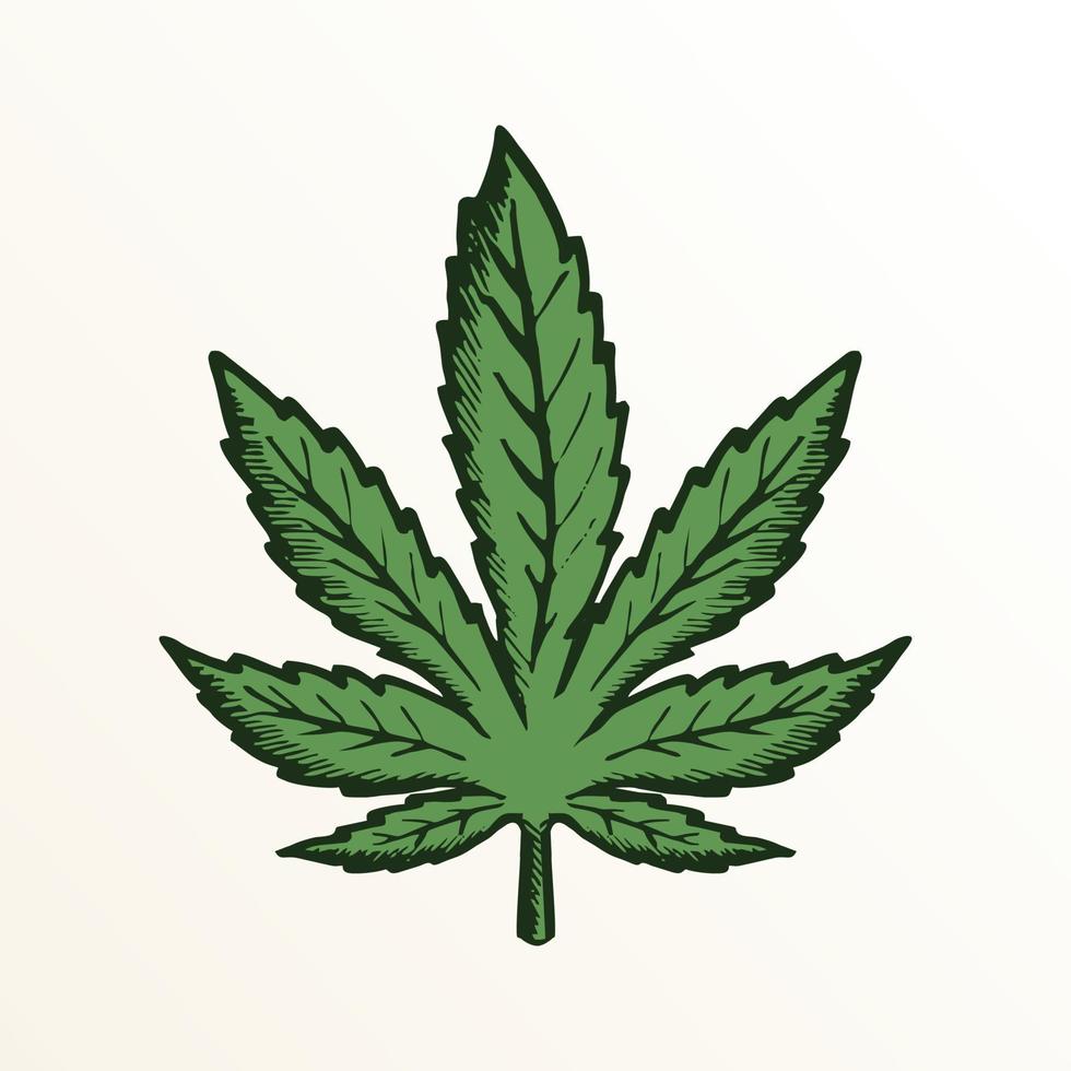 Green fresh hemp leaf. Hemp isolated. Bright and colorful marijuana leaf,  Design element for logo, poster, card, banner, emblem, t shirt. Vector illustration