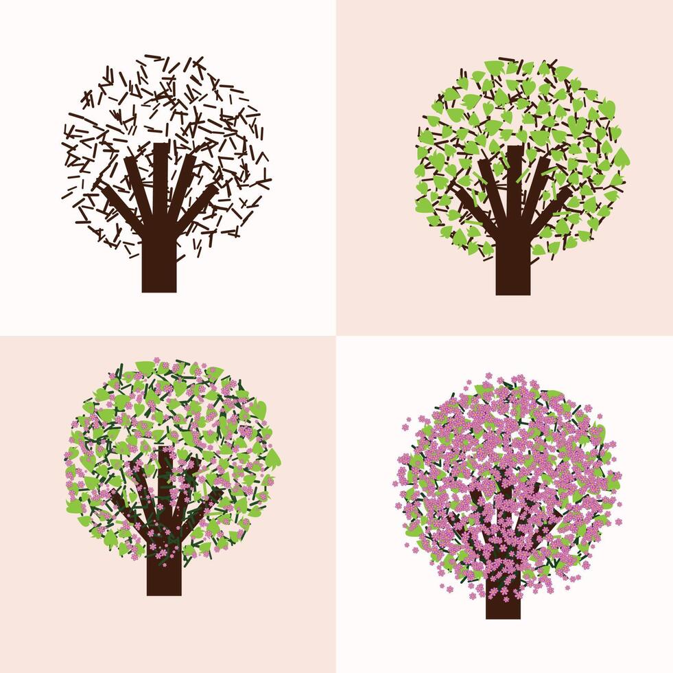 cuatro estaciones florecen otoño primavera árbol flores ciclo de vida ilustración vectorial vector