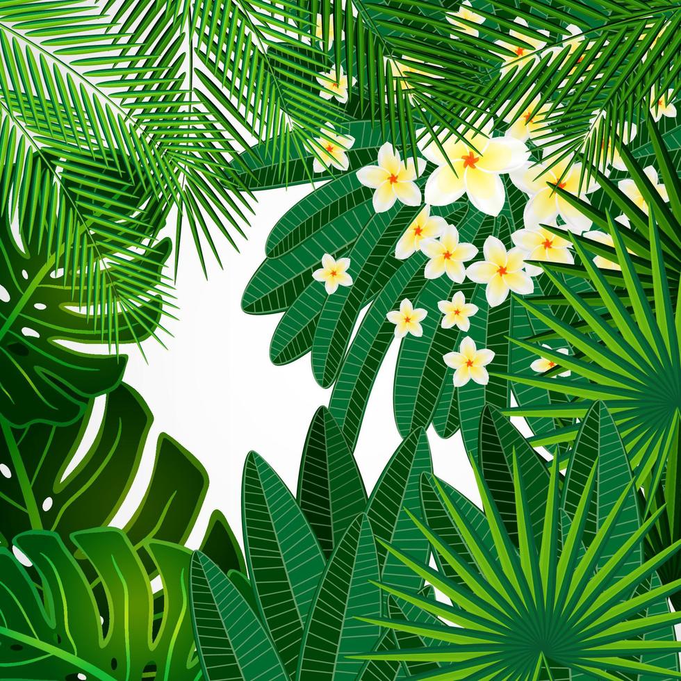 Eps10 Floral design background. Plumeria flowers and tropical leaves. vector
