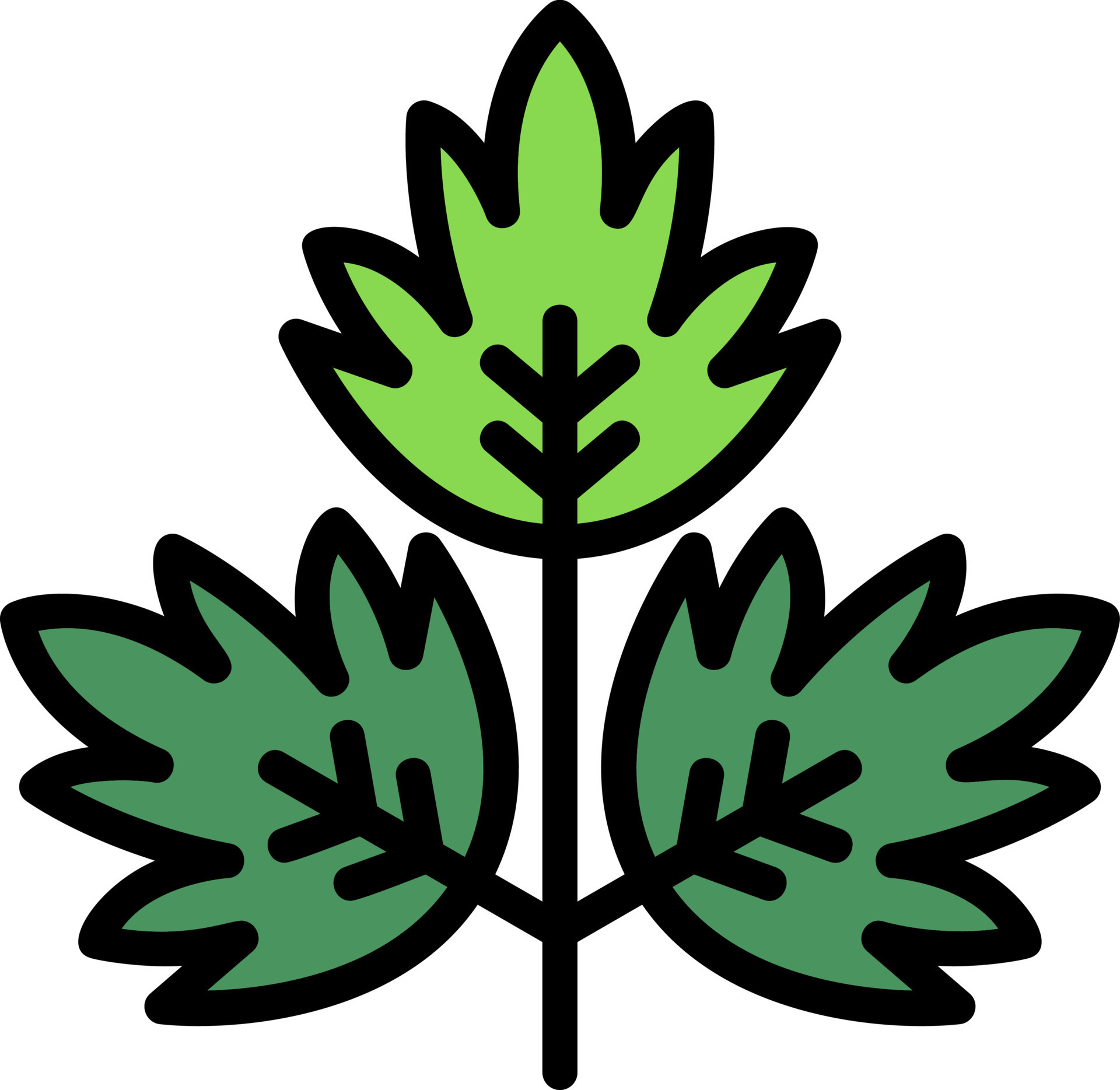 Parsley Vector Icon Design 15865714 Vector Art at Vecteezy