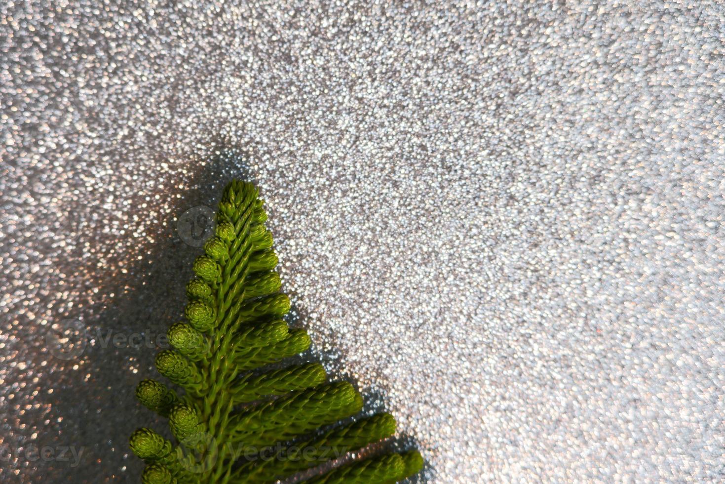 Christmas pine leaves with space for text and shiny background photo