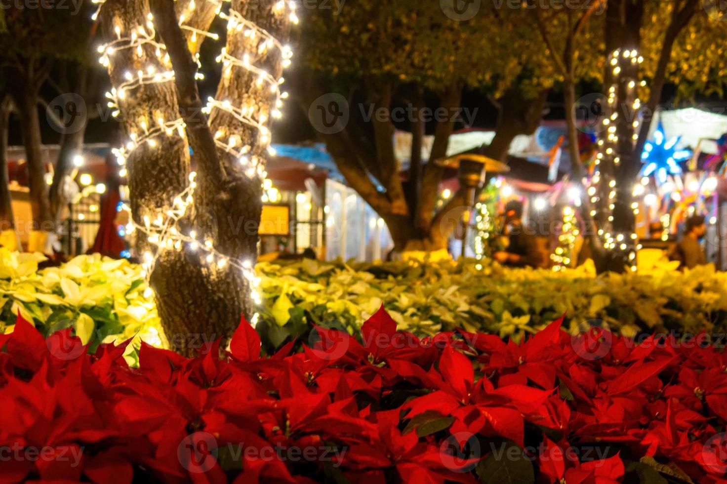 Mexico Christmas Stock Photos, Images and Backgrounds for Free Download