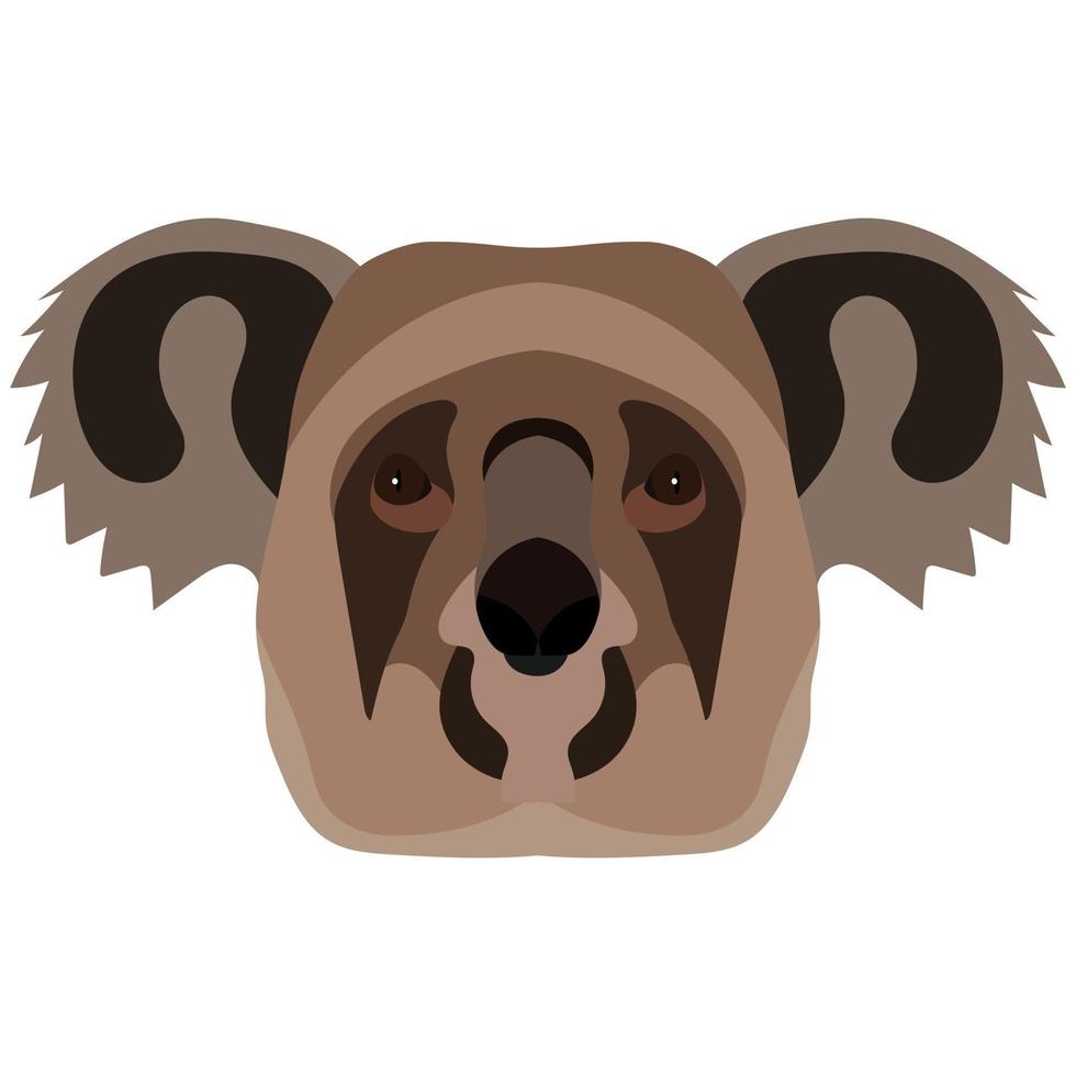 Koala head isolated on white background vector