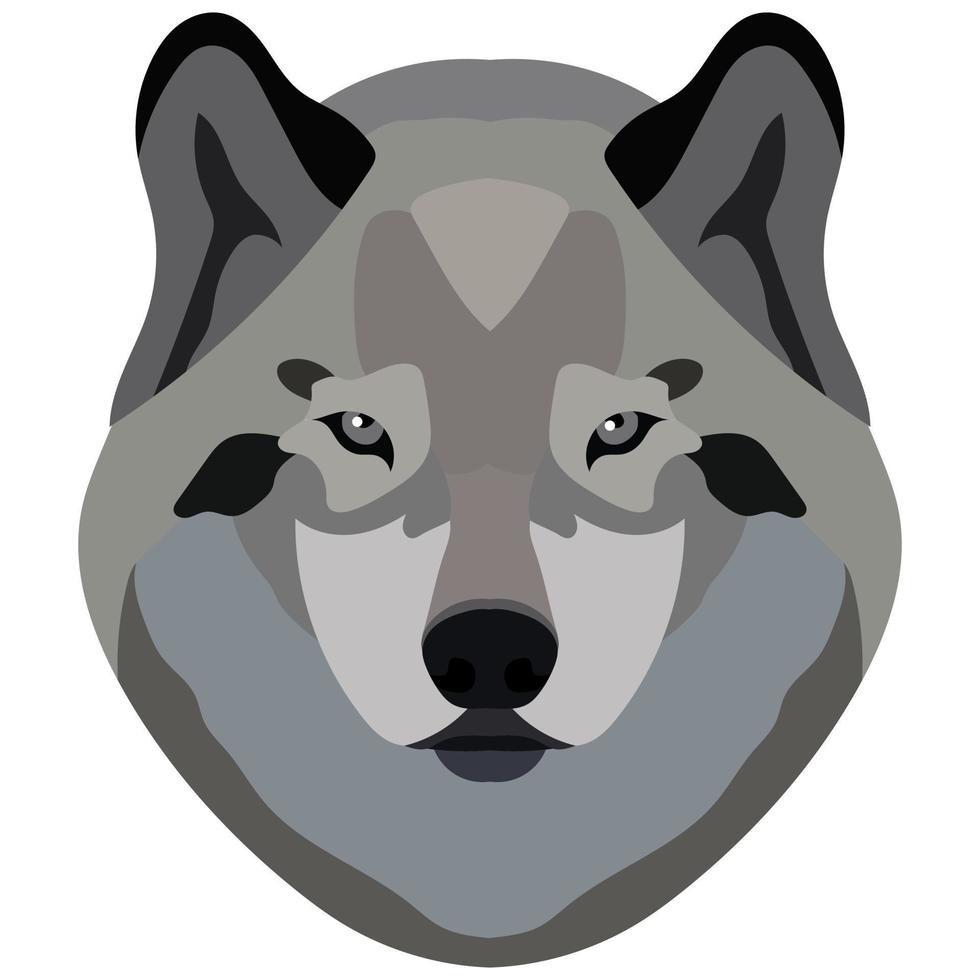 cara de lobo retrato de una bestia salvaje gris aislada en un fondo blanco. vector