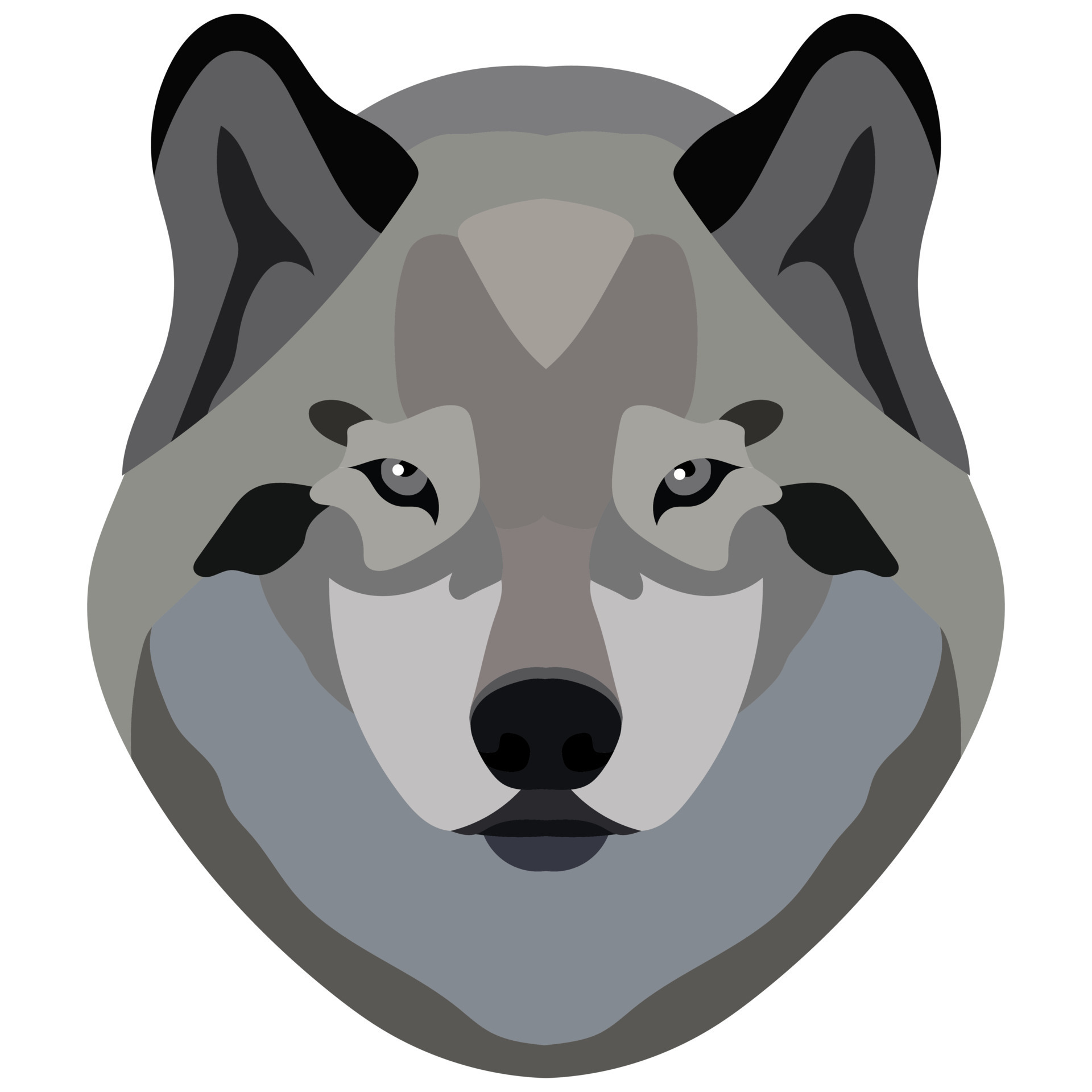 Wolf face. Portrait of a gray wild beast isolated on a white background.  15866629 Vector Art at Vecteezy