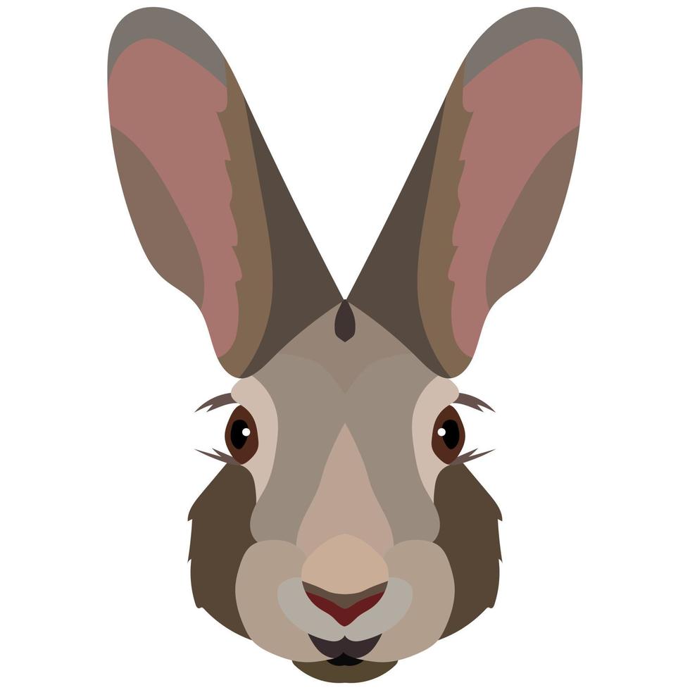 Vector Cartoon Hare Head. Front View.