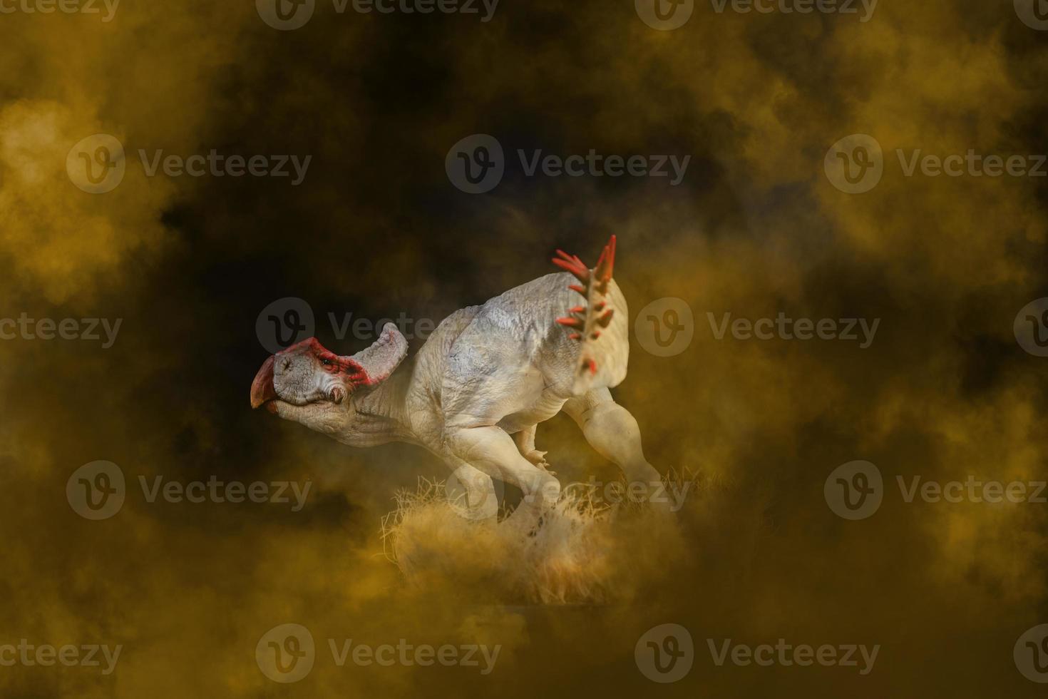 Protoceratops  , dinosaur on smoke background photo
