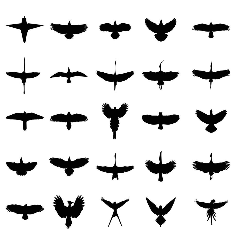 siluetas de águila calva aisladas en blanco. esta ilustración vectorial se puede utilizar como impresión en camisetas, elemento de tatuaje u otros usos. diseño de conjunto de vectores de aves