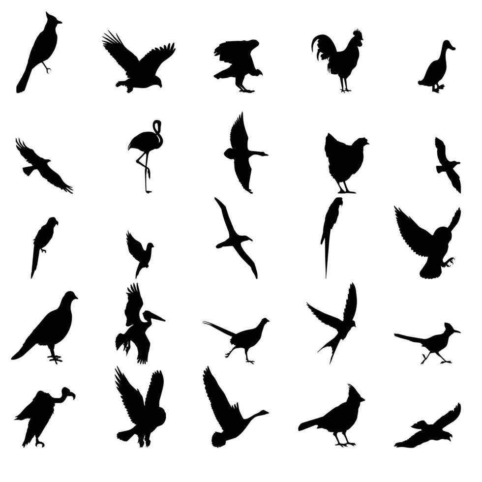 Bald Eagle silhouettes isolated on white. This vector illustration can be used as a print on t-shirts, tattoo element or other uses. bird vector set design