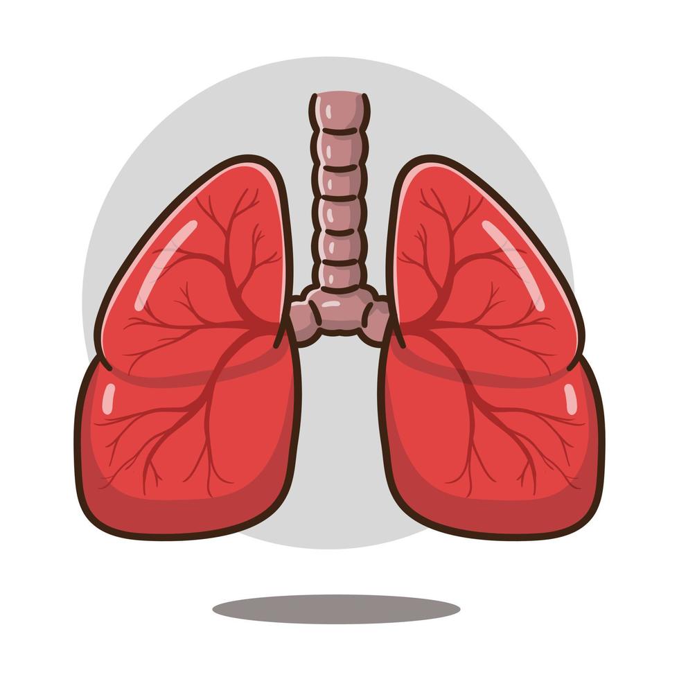 ilustración de órgano de pulmones de dibujos animados bueno para la  educación, banner, icono saludable. 15867072 Vector en Vecteezy