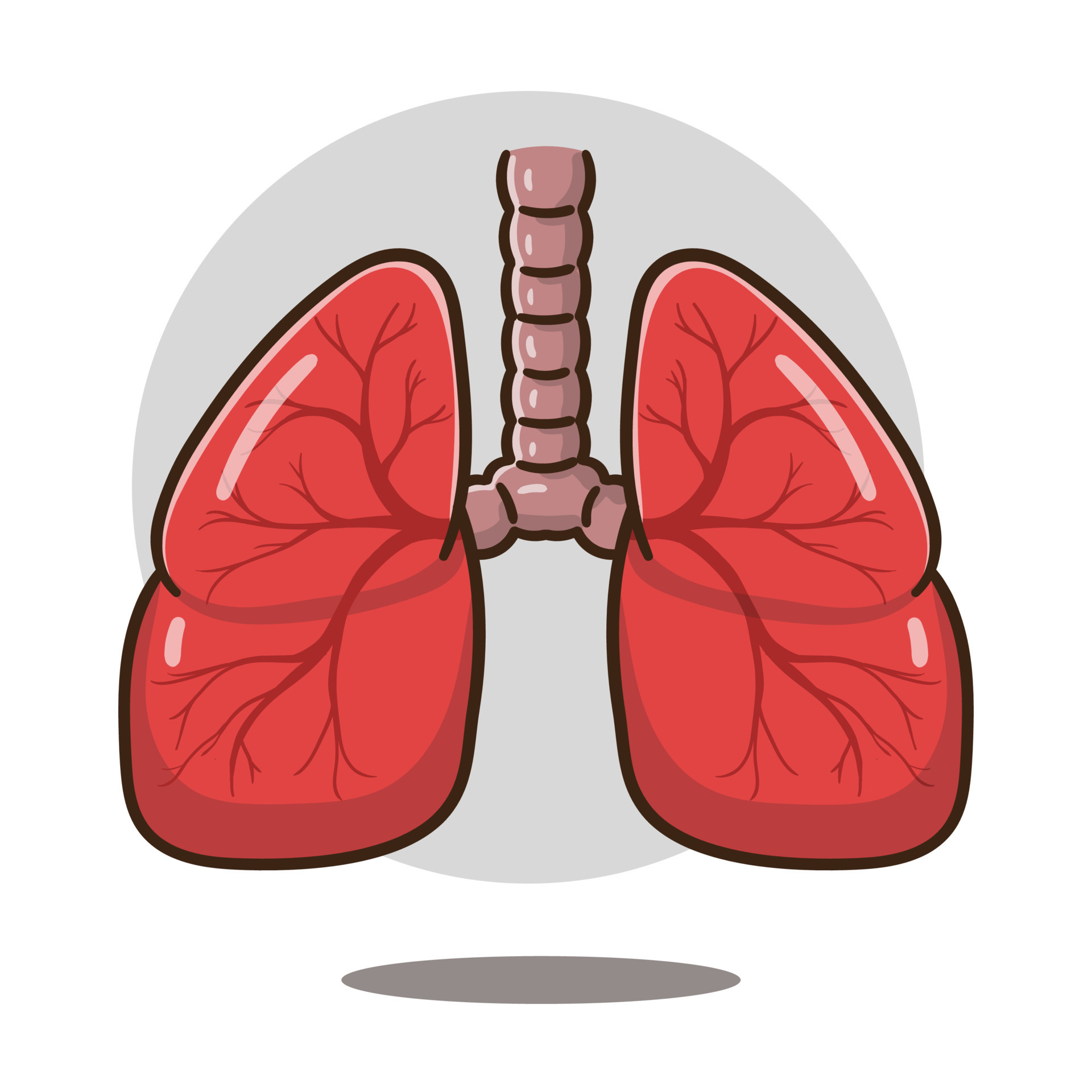 illustration of cartoon lungs organ good for education, banner, healthy  icon. 15867072 Vector Art at Vecteezy